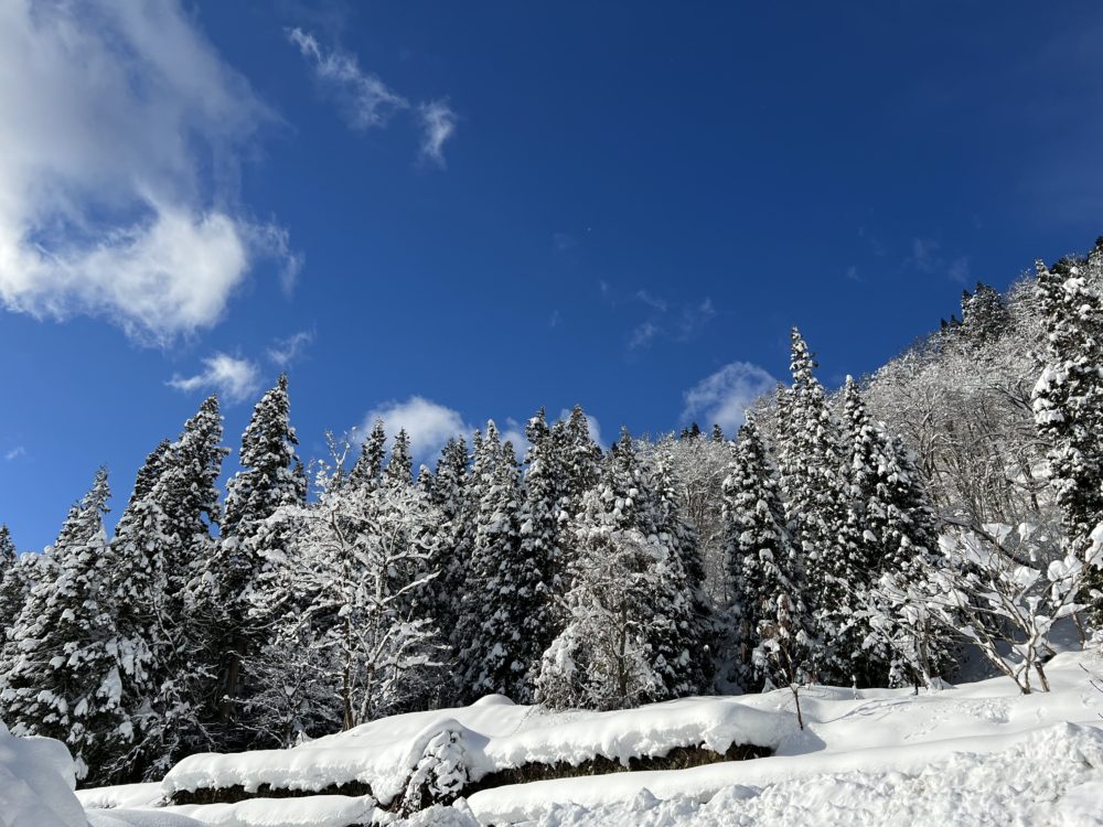 阿賀町の雪景色